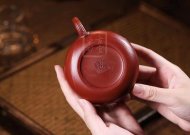 《一花一世界》宜興工藝美術師全手工紫砂壺茶壺老師大紅袍