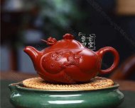 《魚化龍套組》