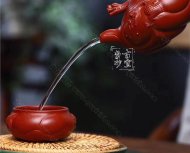 《魚化龍套組》